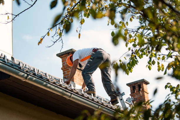 Quick and Trustworthy Emergency Roof Repair Services in Everson, WA